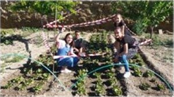 Operación «Lechuguinos» (Colegio «Santa Ana», de Huesca) Operación «Lechuguinos» (Colegio «Santa Ana», de Huesca)